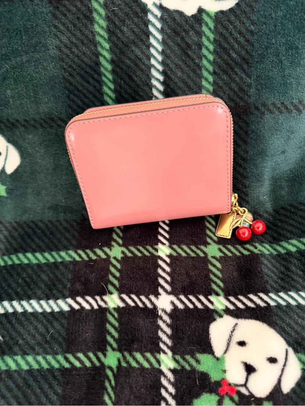 Coach sleek cards